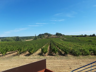 Domaine de Cabane, Vignoble à Saint-Marcel-d'Ardèche