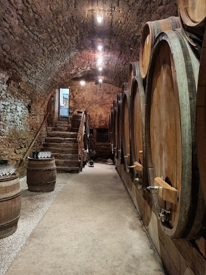 Benoit Paul Et Fils SARL, Vignoble à Pupillin