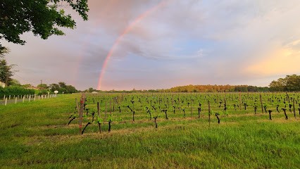 Château La Favière, Vignoble à Saint-Seurin-sur-l'Isle