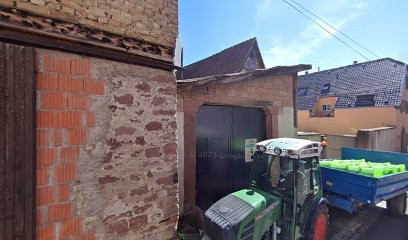 Earl Lang Annelise, Vignoble à Wolxheim