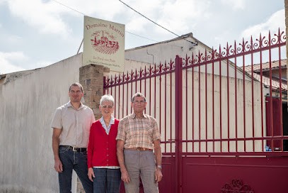 Domaine Martin - Vigneron Authentique, Vignoble à Saint Fiacre Sur Maine