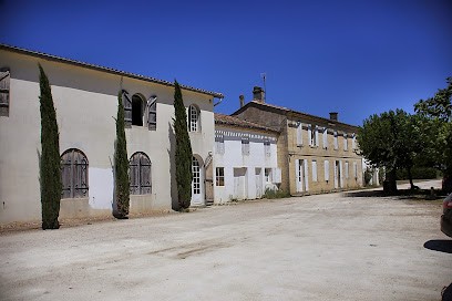 Château Gaillard, Vignoble à Saint-Hippolyte