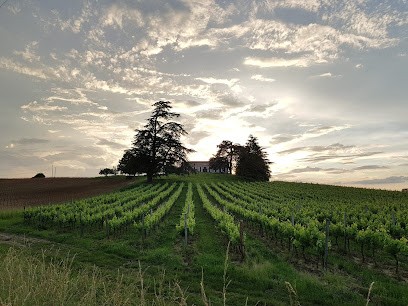 Château De Bayle, Vignoble à Targon