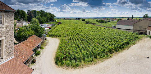 Domaine Du Couvent - Philippe Chéron Vignoble à Gevrey-Chambertin