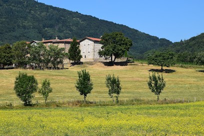 Chanal David Christine Marie Hele, Vignoble à La Chapelle-Villars