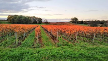 Chateau PARIS, Vignoble à Saint-Germain-d'Esteuil