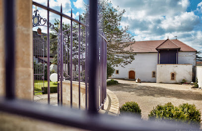 Domaine Magnien Vignoble à Morey-Saint-Denis