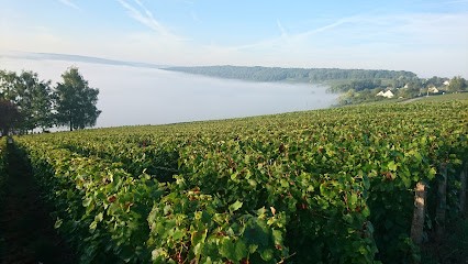Champagne papelard commun, Vignoble à Bonneil