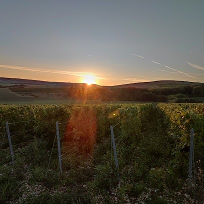 Champagne Olivier Devitry, Vignoble à Urville