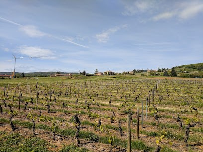 Blanc Etienne Et Mireille, Vignoble à Lacenas