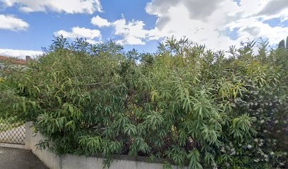 Jorda Lacube Marie-therese, Vignoble à Pépieux