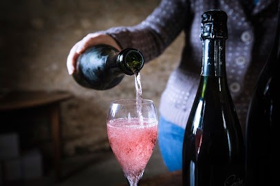 Renardat-Fache, Vignoble à Mérignat