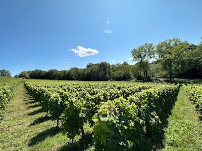 Chateau du Haut Maray, Vignoble à Mazères
