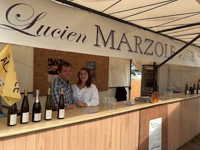 Marzolf Lucien Et Fils, Vignoble à Voegtlinshoffen