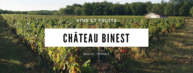 Château BINEST, Vignoble à Bouloc