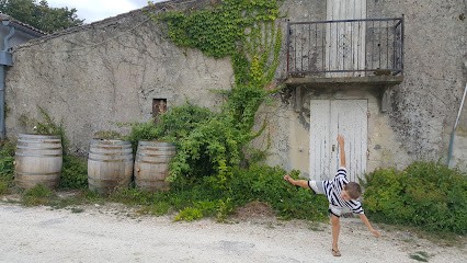 Domaine Du Bouscat, Vignoble à Saint-Romain-la-Virvée