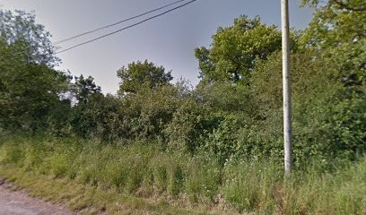 La ferme Cocard, Vignoble à Beaulieu-sur-Layon