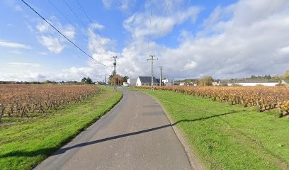 Antoine & Vincent Dupuy, Vignoble à Esvres