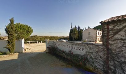 Mas De La Baume, Vignoble à Saint-Gilles