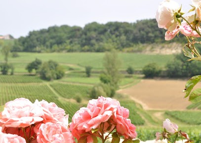Château Godeau, Vignoble à Saint-Laurent-des-Combes