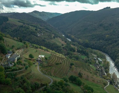 Ferme De LaVidalie, Vignoble à Vieillevie