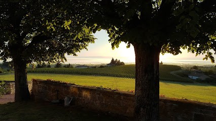 Domaine Sérol, Vignoble à Renaison