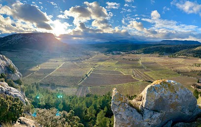 Les Terrasses De L'Arago, Vignoble à Vingrau