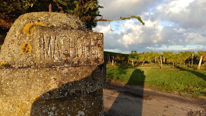 Thiery SCEA, Vignoble à Saint-Martin-de-Sescas