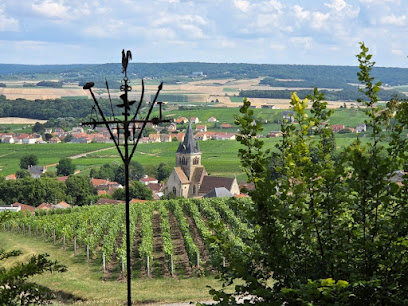 Champagne Chardonnet Eric Vignoble à Ville-Dommange