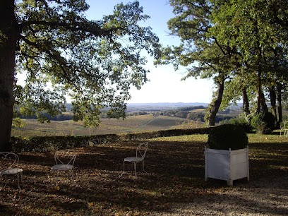 Château Bélingard, Vignoble à Pomport