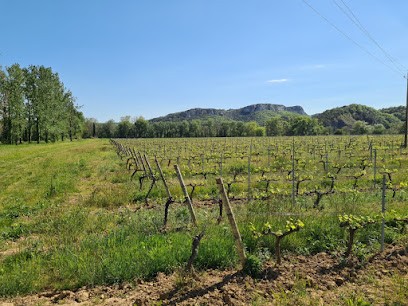Domaine Du Colombier, Vignoble à Vallon-Pont-d'Arc