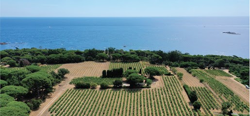 Cave De Saint Tropez, Vignoble à Saint-Tropez