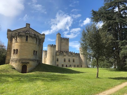 Château Roquetaillade La Grange, Vignoble à Mazères