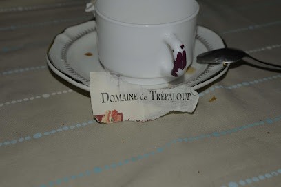 Domaine De Trepaloup, Vignoble à Saint-Clément