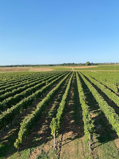Vignoble Guérinaud, Vignoble à Mazerolles