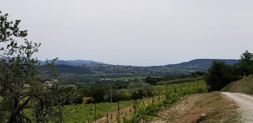 Domaine Serre Besson, Vignoble à Vinsobres