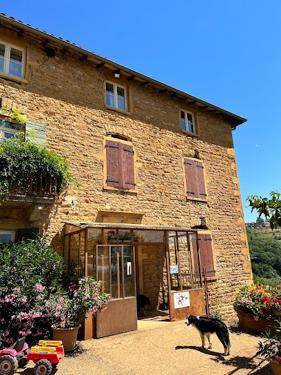 Quentin Et Gaëtan Morel / Domaine Des Prévelières, Vignoble à Val d'Oingt