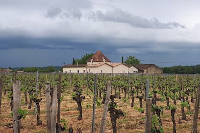 Château Les Cabannes, Vignoble à Saint-Sulpice-de-Faleyrens