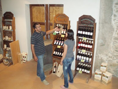 Domaine Des Tourels (EARL), Vignoble à Tourouzelle