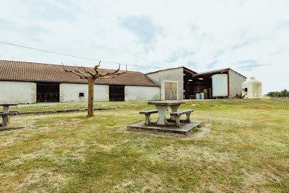 Earl Paillet Et Fils, Vignoble à Saint-Vivien-de-Blaye