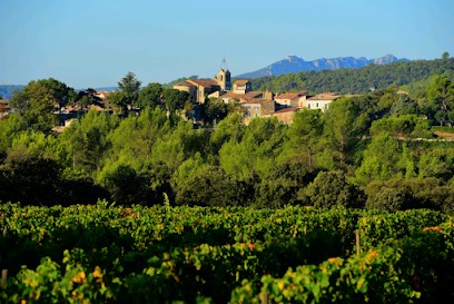 Château De Lascaux, Vignoble à Vacquières