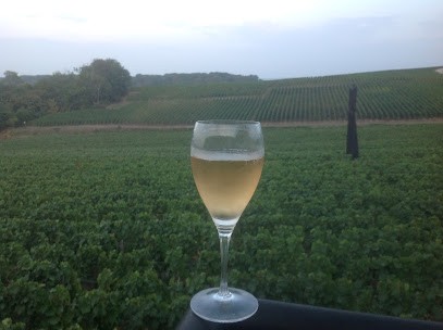 Champagne Jean-François LEGER, Vignoble à Sacy