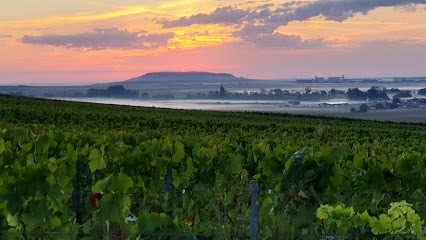 Champagne Sébastien Lefèvre, Vignoble à Vert-Toulon