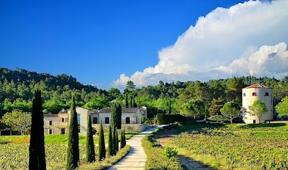 Domaine Tour Campanets, Vignoble au Puy-Sainte-Réparade