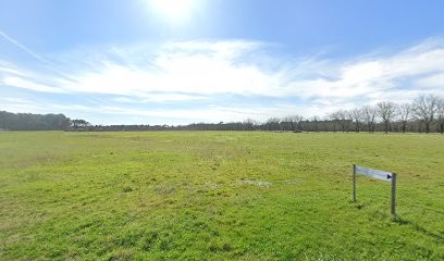 SCEA Videau-Roze Des Ordons, Vignoble à Saint-Germain-d'Esteuil