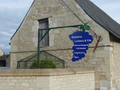 Domaine Lorieux & Fils, Vignoble à Bourgueil