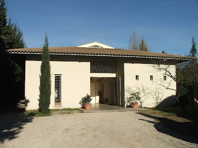 Domaine Henry, Vignoble à Saint-Georges-d'Orques