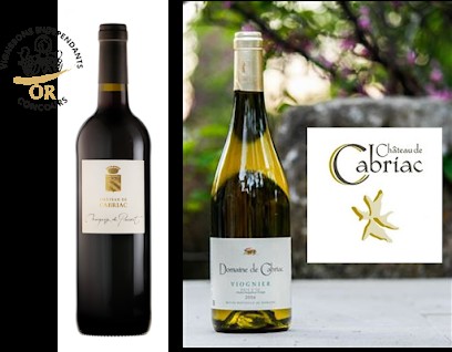 Chateau de Cabriac, Vignoble à Douzens