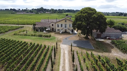 Château Vieux Clos Saint Emilion Vignoble à Saint-Émilion