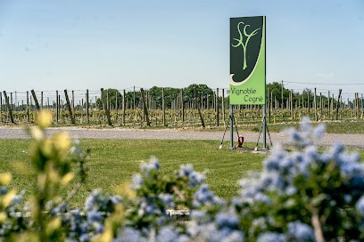 Vignoble Cogné, Vignoble à Orée d'Anjou